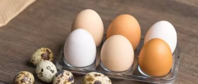 Куриные или перепелиные: какие яйца вкуснее и полезнее