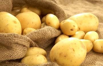 Жителям Молодечно предлагают работать за мешок картошки