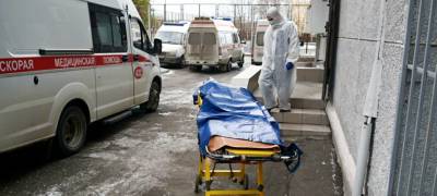 В России установлены новые антирекорды по умершим и заразившимся COVID-19 за сутки