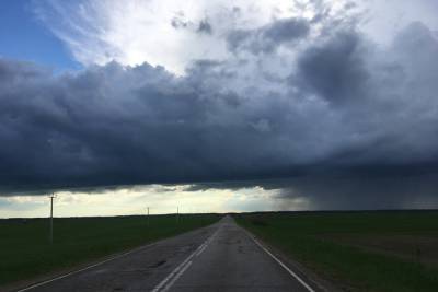 МЧС объявило в Смоленской области штормовое предупреждение