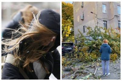 Стихия разгулялась в Одессе, шквальный ветер валит деревья: кадры ЧП