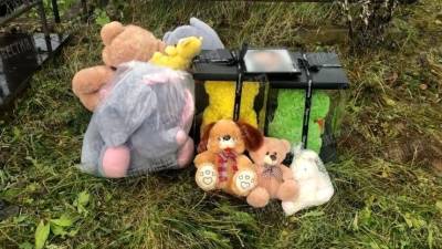 Жестоко убитую в Вологде девочку похоронили — видео с кладбища - 5-tv.ru - Вологда