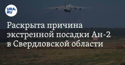 Раскрыта причина экстренной посадки Ан-2 в Свердловской области