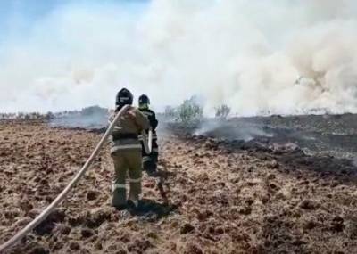 В конце октября в Курганской области снова начались природные пожары