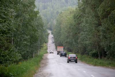 Свердловские власти сдадут в аренду 107 тыс. гектаров леса