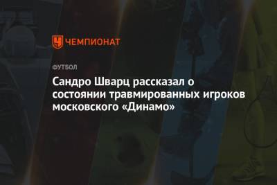 Сандро Шварц рассказал о состоянии травмированных игроков московского «Динамо»