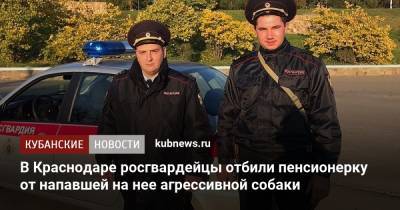 В Краснодаре росгвардейцы отбили пенсионерку от напавшей на нее агрессивной собаки