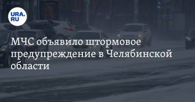 МЧС объявило штормовое предупреждение в Челябинской области