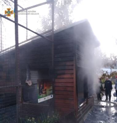 Пожар в зоопарке в Луцке: погибли животные