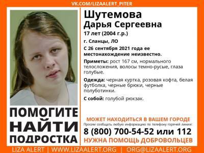 Элизабет Алерт - В Сланцах почти месяц назад без вести пропала 17-летняя девушка - ivbg.ru - Украина - Ленобласть