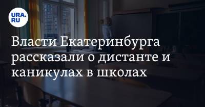 Власти Екатеринбурга рассказали о дистанте и каникулах в школах