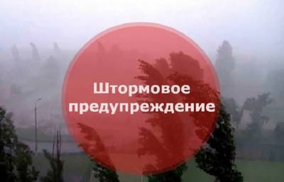 В Смоленской области объявили штормовое предупреждение на пятницу