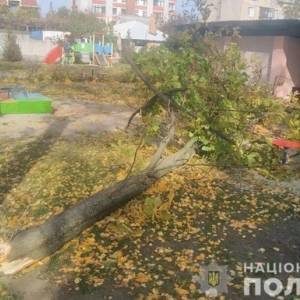 В детсаду в Кременчуге на двух детей упало дерево