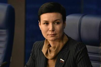 Рукавишникова предложила ввести досудебную блокировку за клевету в Интернете
