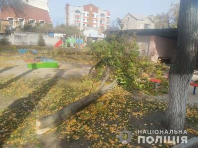 В Кременчуге на воспитанников детского сада упало дерево. Один ребенок в коме