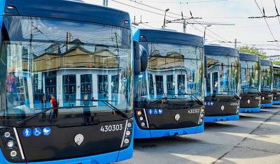 Эксперты признали: в эксплуатации электробус дороже троллейбуса как минимум на 30%
