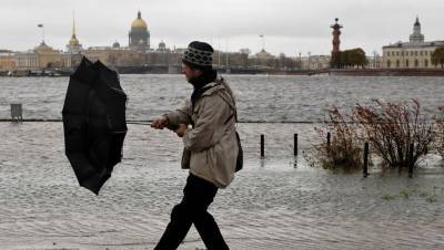 Ливни со штормовым ветром накроют Петербург 22 октября