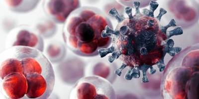 Белорусский онколог: есть гипотеза, что коронавирус может в некоторых случаях излечивать пациентов с онкологией