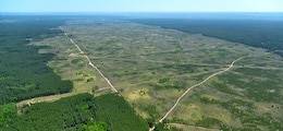 Россия продает японцам право вырубать дальневосточный лес