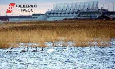 Для предотвращения наводнения в Петербурге закроют дамбу