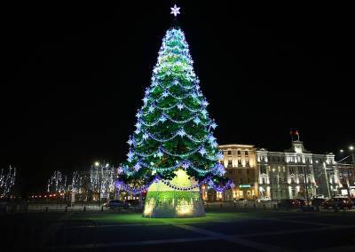 В Воронеже ищут подрядчика на установку главной городской новогодней ёлки за 2,3 млн