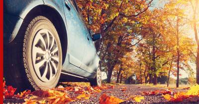 Названы три вещи, которые водители всегда должны помнить осенью
