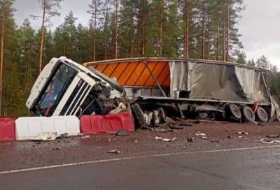 Водители грузовиков пострадали в результате лобового столкновения на трассе "Скандинавия"