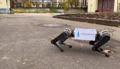 В МГУ создали первого в РФ шагающего четырёхногого робота