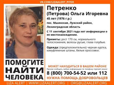 Элизабет Алерт - В Лужском районе без вести пропала 45-летняя женщина - ivbg.ru - Украина - Ленобласть