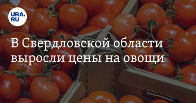 В Свердловской области выросли цены на овощи