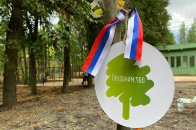 В Северной Осетии за 10 дней высадят более 20 тыс. деревьев
