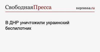 В ДНР уничтожили украинский беспилотник