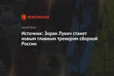Источник: Зоран Лукич станет новым главным тренером сборной России