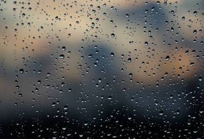 Жителей Ленобласти ожидают дожди и сильный ветер 22 октября