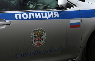 В Петербурге у Петровского колледжа задержали студента с оружием