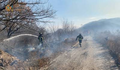 Под Северодонецком произошел масштабный пожар: горела сухая трава
