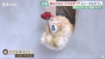 В Японии открыли кафе, где заказы выдает медвежья лапа