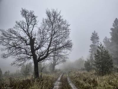 Сильный ветер и снег: выходные на Южном Урале будут ненастными