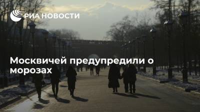 Гидрометцентр предупредил москвичей о морозах до минус шести градусов