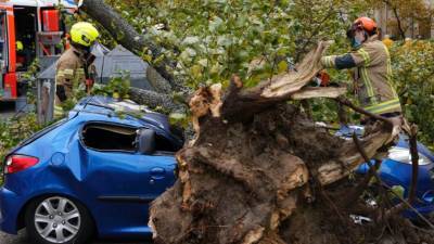 Непогода в Германии: 50 000 домов без электричества, множество раненных и хаос на дорогах