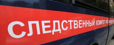 СК РФ взял на контроль инцидент с избиением ребёнка охранником в магазине Новосибирска