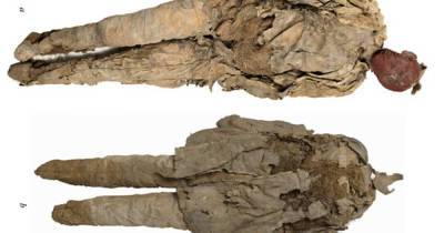 Останки мужчины найдены внутри древней погребальной куклы в Хакасии