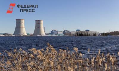 Власти объяснили, зачем в Приморье хотят построить атомную электростанцию