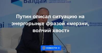 Путин описал ситуацию на энергорынке фразой «мерзни, волчий хвост»