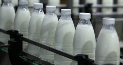 94 % белорусской молочной продукции поставляется в страны СНГ