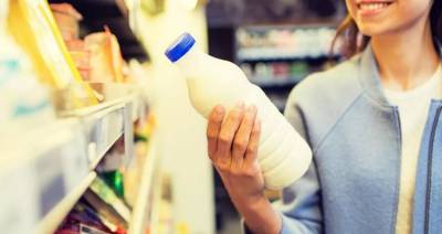Доля Беларуси в мировой торговле молоком составила 6 %