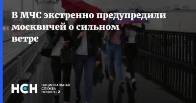 В МЧС экстренно предупредили москвичей о сильном ветре