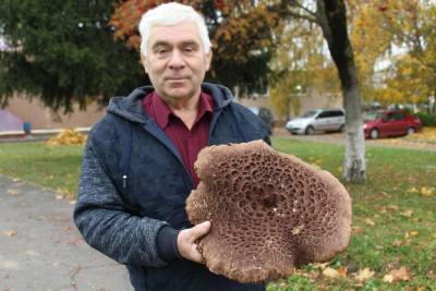«В лесу их было столько – хоть косой коси». Семья из Лиды нашла гриб, шляпка которого в диаметре составила около 40 см