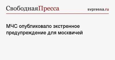 МЧС опубликовало экстренное предупреждение для москвичей