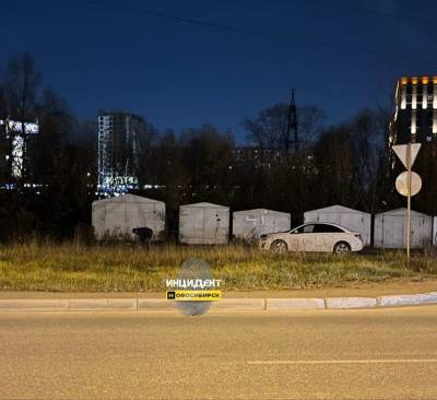 В Новосибирске прохожие спасли женщину от избиения сожителя